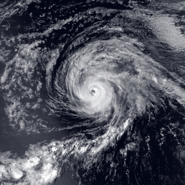 Hurricane Raymond 1983